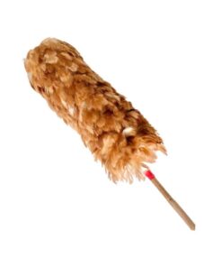 Chổi quét bụi lông gà